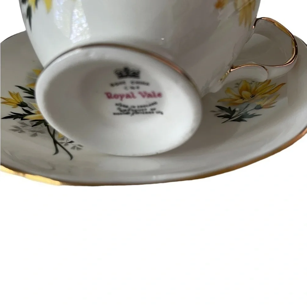 Royal Vale bone China teacup and saucer, made in England.